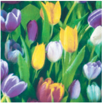 Metallic Gift Wrap - Image 7