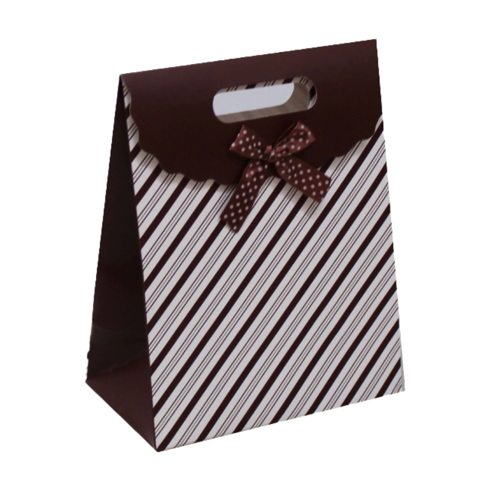 Medium Flap Bag 9.5" x 12.5" x 4" - Image 5