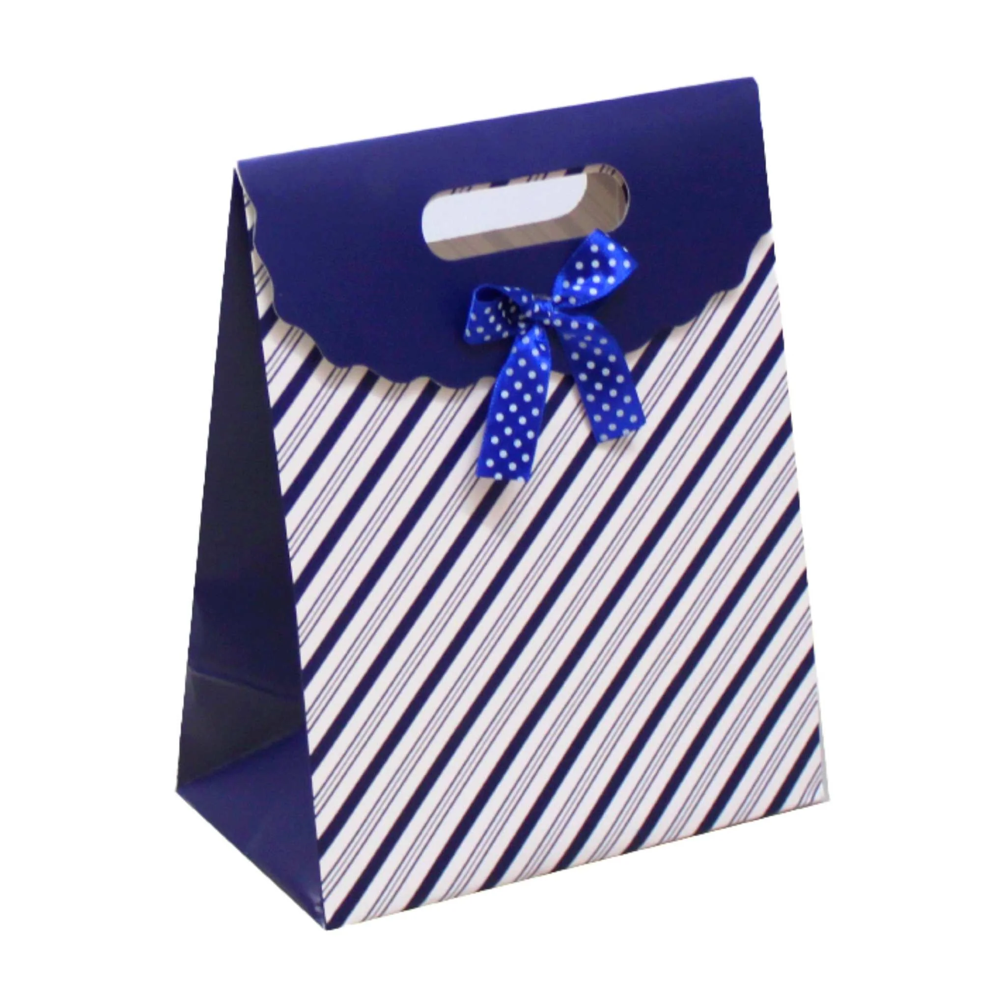 Medium Flap Bag 9.5" x 12.5" x 4" - Image 7